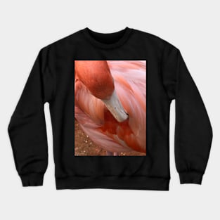 Flamingo Crewneck Sweatshirt